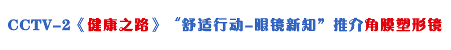 CCTV標題.gif